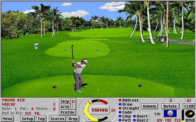 Links 386 Pro gameplay