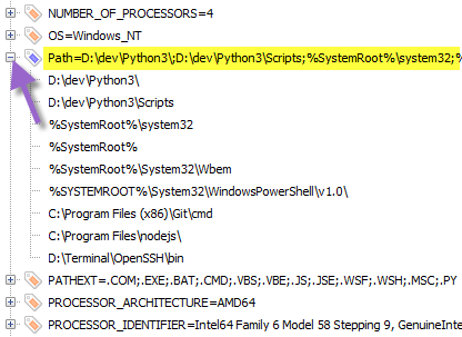 PATH expanded in Rapid Editor